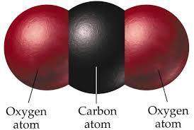 Which type of bond does this molecule have? covalent bondhydrogen bondionic bond