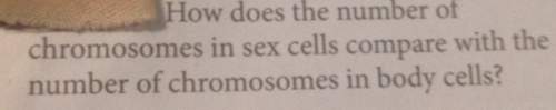 How does the number of chromosomes in sex cells compare with the buber of chromosomes in body cells&lt;