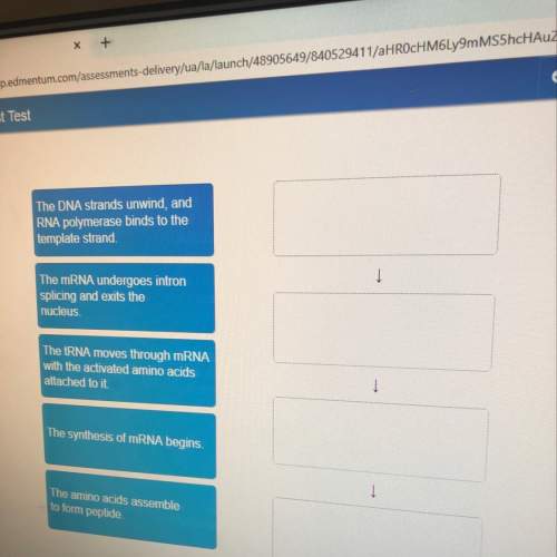 Place the steps of the information of the enzymes pepsinogen in the correct order