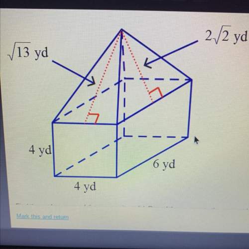 Find the surface area of the composite solid. round the answer to the nearest hundredth