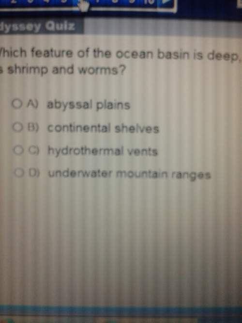 Which feature of the ocean basin is deep vast and flat with life such as shrimp and worms?