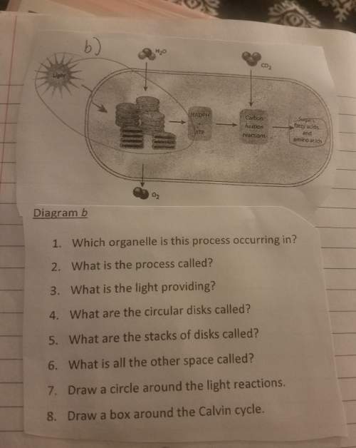 Hello, can somebody answer these for me? i have already done them but want to make sure they are 10