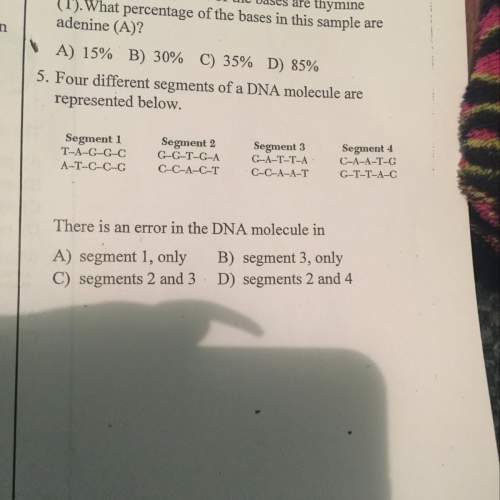 Iwould like to know the answer to number 5