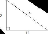 Find the missing length to the nearest tenth.