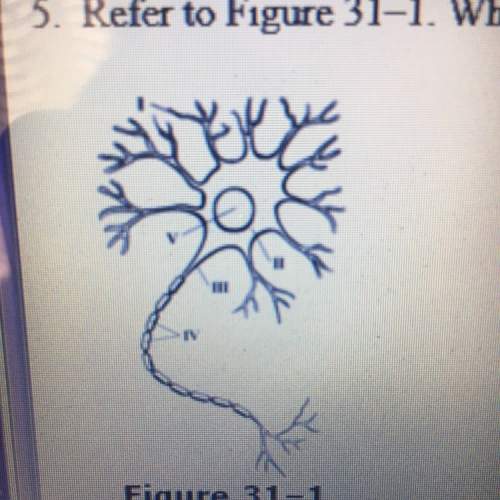 Refer to the figure above. which structure carries impulses to the cell body  a. i