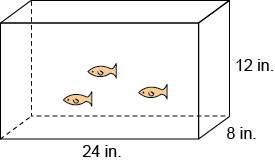 What is the volume of this aquarium 96 in³ 2,304 in³ 3,216 in³