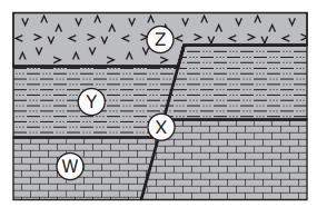 Rock layers w, y, and z and fault x are shown. the rock layers and the fault were formed at differen