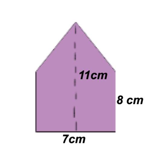 What is the area of this shape? show your work.