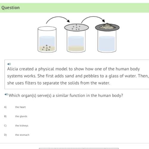 Alicia created a physical model to show how one of the human body systems works. she first adds sand