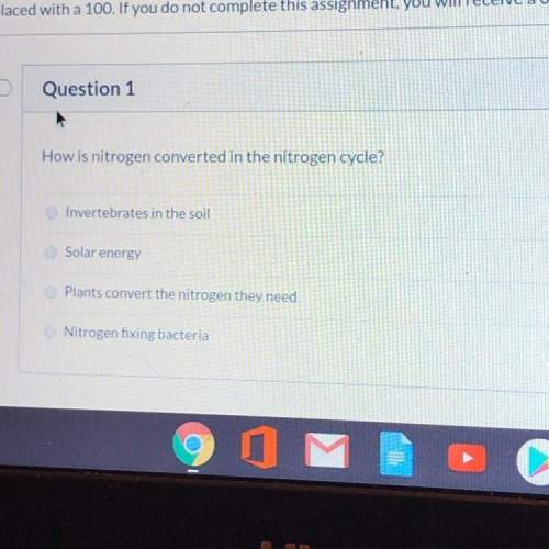 How is nitrogen converted in the nitrogen cycle