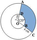 98 points find the area of both the shaded regions