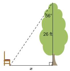 Achair is placed near a 26-ft tall tree. a right triangle is formed between the chair, the base of t