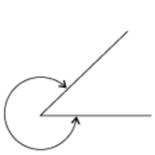 13. the diagram in this figure illustrates a angle.  a. reflex b. right c.