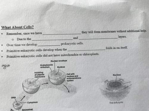 50 points if you answer it. i don't know anything about this i just got to biology and i don't know