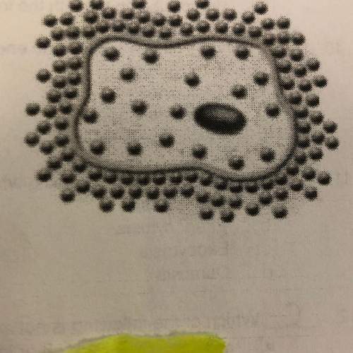 15. the cell in the picture has been placed into a hypertonic solution as shown. the dots represent