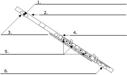 Label the parts of the flute. (image attached) word bank:  body embouchure h