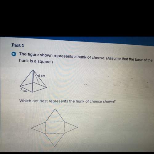 What is the surface area of the cheese?