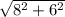 \sqrt{8^{2}+6^{2}  }