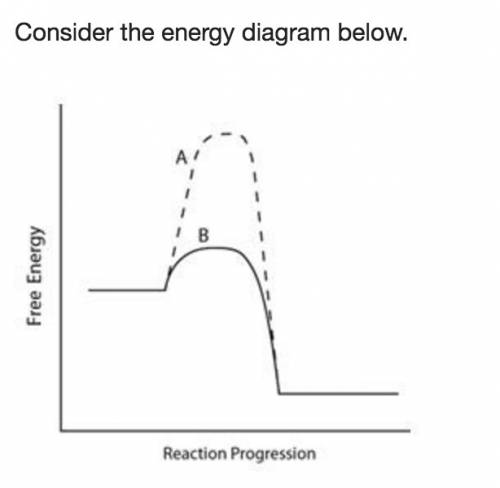 Consider the energy diagram below. xn. mc012-1.jpg which line indicates a higher reaction rate?  a b