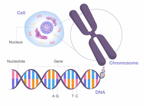 Which statements are true about variations in the genetic code?

Select all that apply.
A) All organ