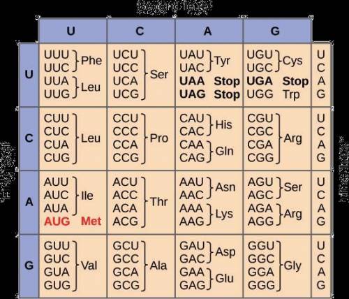 Which statements are true about variations in the genetic code?

Select all that apply.
A) All organ