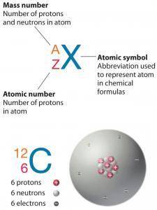 The atomic number of argon is 18 and its mass number is 40. Describe the number and type of particle
