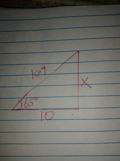 Two sides of a triangle measure 10 inches and 10.9 inches. The included angle between these sides is