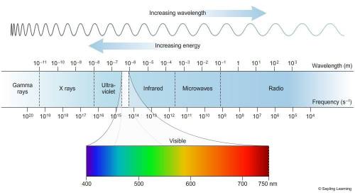 The picture lists light waves from left to right in order of highest to lowest energy. which region 