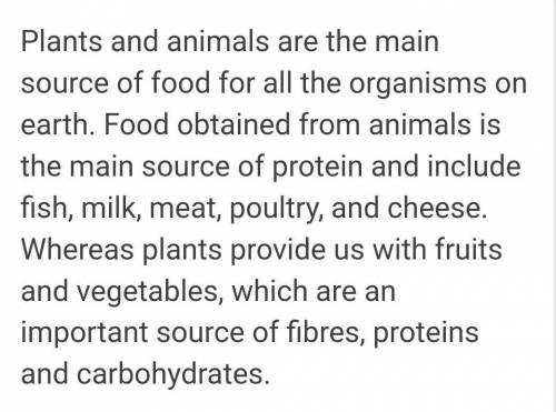What are the two main sources of food?