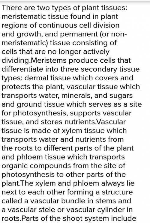 Choose a plant tissue. Write an explanation of how that tissue’s structure relates to its function.