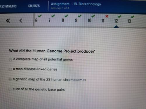What did the Human Genome Project produce?

a genetic map of the 23 human chromosomes
a list of all