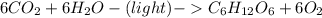 6CO_{2} + 6H_{2} O - (light) - C_{6} H_{12} O_{6}  + 6O_{2}