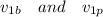 v_{1b}\quad and\quad v_{1p}