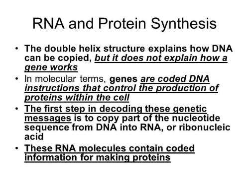 Why is it important for a single gene to be able to produce hundreds or thousands of rna molecules?