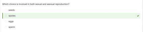 Which choice is involved in both sexual and asexual reproduction?

spores
eggs
sperm
seeds