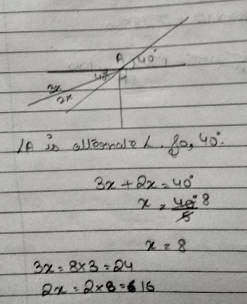 Find x 
Find all angles please guys help me