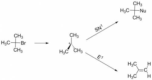 Select the mechanisms where the concentration of the nucleophile/base has no effect on the reaction 