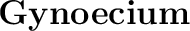 \huge\textbf{Gynoecium}