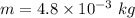 m=4.8\times 10^{-3}\ kg