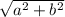 \sqrt{a^{2}+b^{2} }