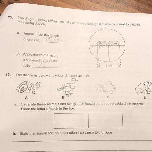 Just answer 26 a will mark brainliest