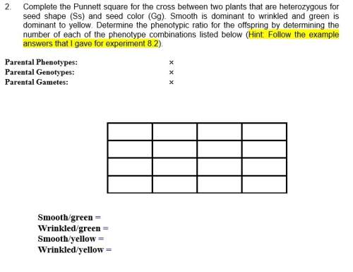 Need ! extra ! complete the punnett square for the cross between two plants that are heterozygous