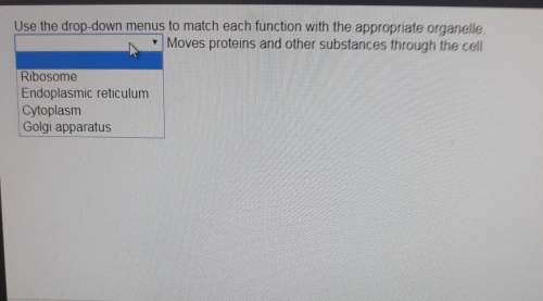 use the drop-down menus to match each function with the appropriate organelle