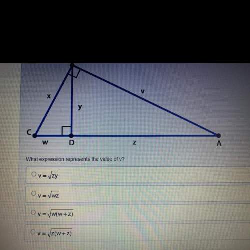 What expression represents the value of v? (it’s not the first one)