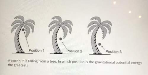 1. a coconut is falling from a tree. i which position is the gravitational potential energy the grea
