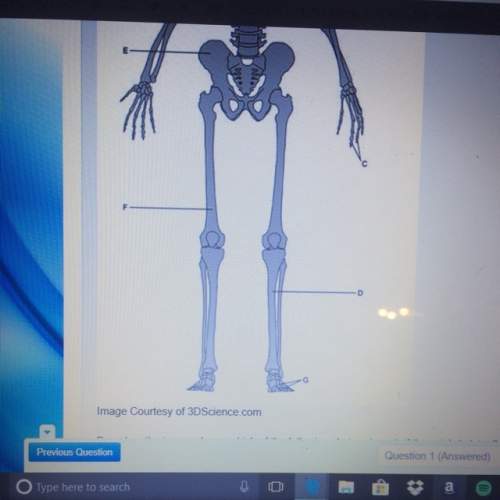 Based on the image above which of the following choices is part of the axial skeleton