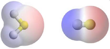 In the molecules below, areas that have a partial negative charge are pink and areas that have a par