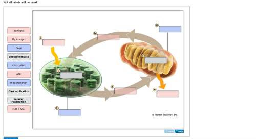 Drag the labels to the appropriate locations on this diagram. use blue labels/targets to ident