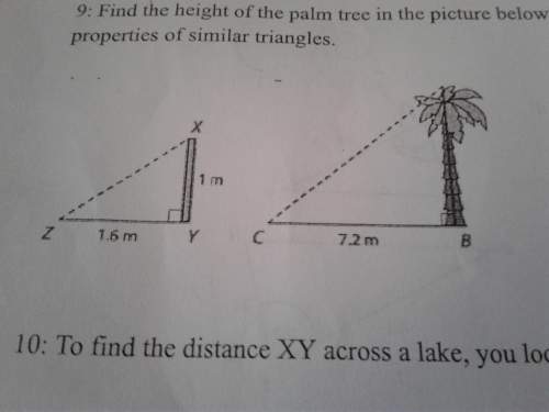 Find the height of the palm tree below by using indicated dimensions and the properties of similar t