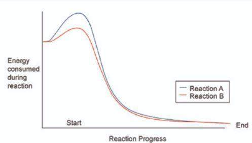 The graph above shows the progress of an enzyme-catalyzed chemical reaction. based on the graph, whi